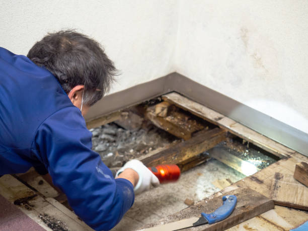 Best Bathroom Mold Remediation in Port Washington, WI