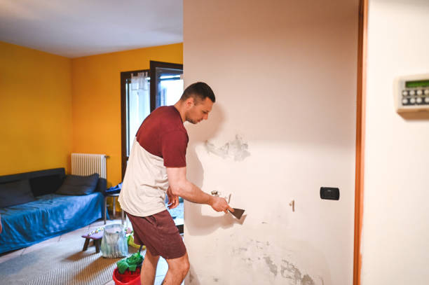 Best Basement Mold Remediation in Port Washington, WI