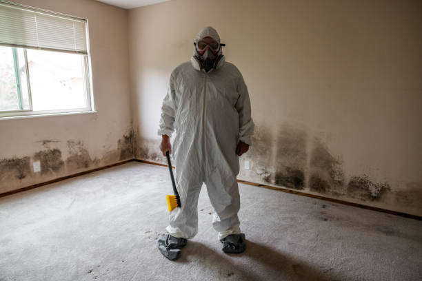 Best Emergency Mold Remediation in Port Washington, WI